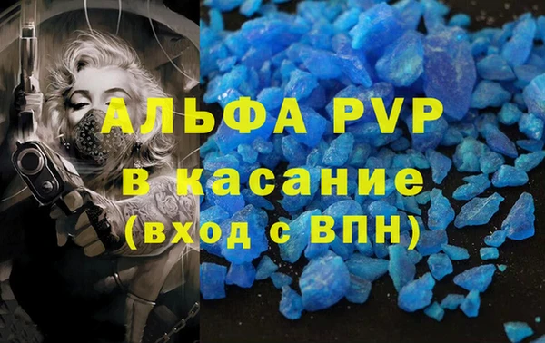 экстази Богданович