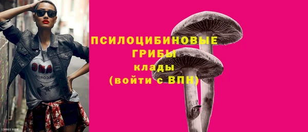 шишки Богородицк