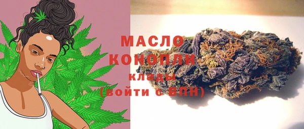шишки Богородицк