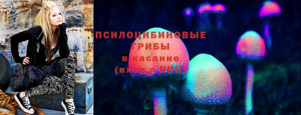 шишки Богородицк