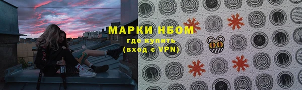 шишки Богородицк