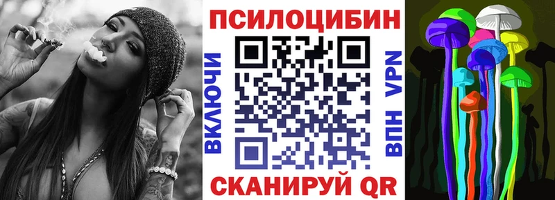 Галлюциногенные грибы Psilocybine cubensis  Кизел 